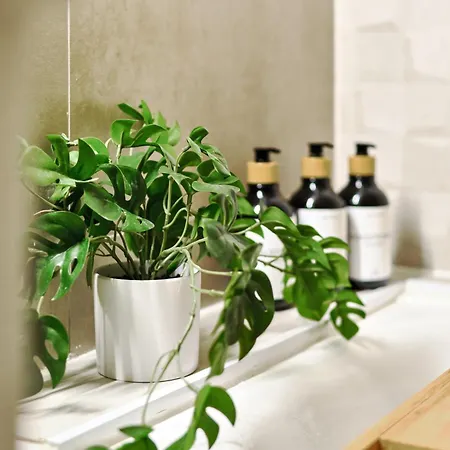 Relaxing Oasis For Digital Nomads With Pool Lägenhet Torrevieja